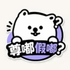 尊嘟假嘟