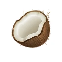 Coconote